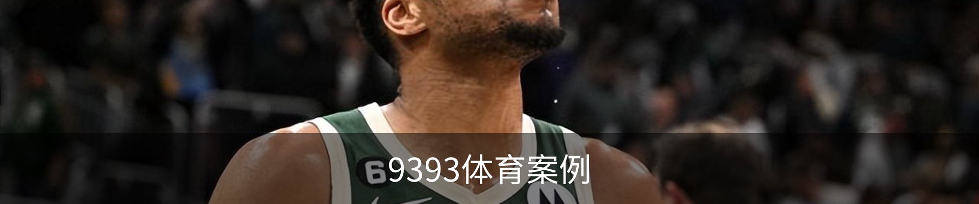 9393体育案例